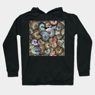 66 Million Years in the making Hoodie